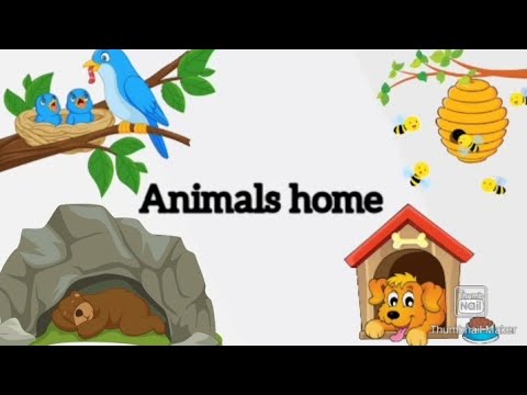 animals and their home.