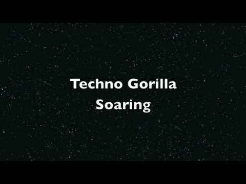 Soaring- Techno Gorilla