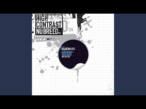 Not Too Late (feat. Chloe Langley) (Nhato Dub Remix)