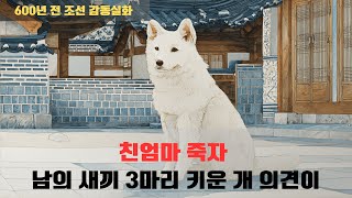 친엄마 죽자 남의 새끼 3마리 키운 개    600년 전 조선 실화