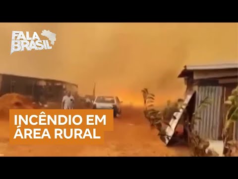 Moradora de acampamento em Colômbia (SP) se arrisca em incêndio para salvar animais