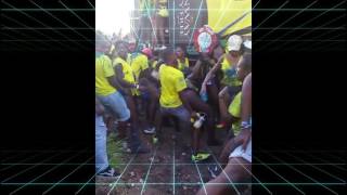 JACKASS SALT - WE TING (CROP OVER 2017)