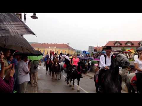 Vozočašće Marija Bistrica 2016