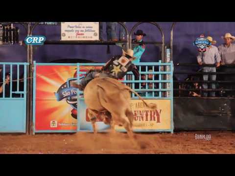 Rodeio de São Pedro do Turvo 2017 - DESORDEIRO (CIA. CALIFÓRNIA)
