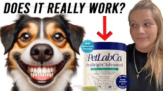 (HONEST REVIEW) PetLab ProBright Advanced/Dental Powder For 