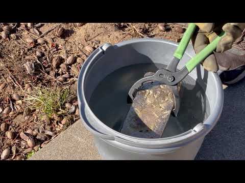 NORDIC GOLD!!!  Trash To Treasure