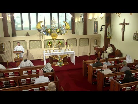 Daily Readings and Homily - 2025-10-15 - Fr. Mitch