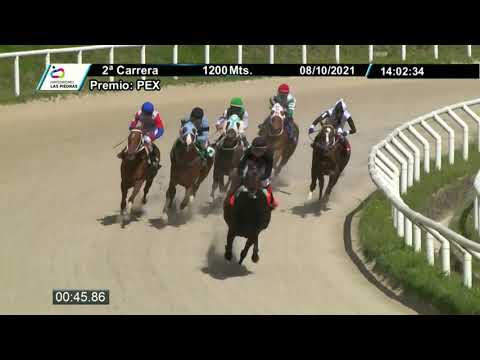 211008 c02 - GRAND OCTANTE - HIPODROMO LAS PIEDRAS