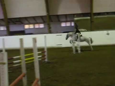 horse jumping Me on Fifilina