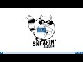 Sneakin Raccoon Logo Logo Animation