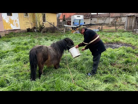 Anyós - Só 82. rész