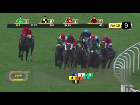 Garden City Trophy 2016 (Rafaello)