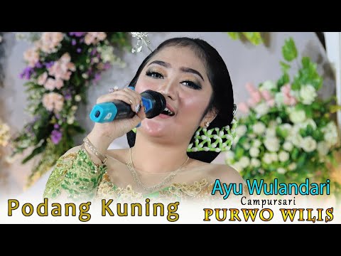 SEGER LUUR...! AYU WULANDARI - PODANG KUNING  - CAMPURSARI PURWO WILIS - GOJES SOUND SYSTEM