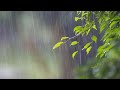 Rain Video WhatsApp Rain Status Barish Status Feel The Rain Sun Sathiya Mahiya Rain Status