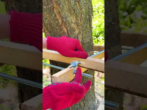 Wrapping Tree In Wood