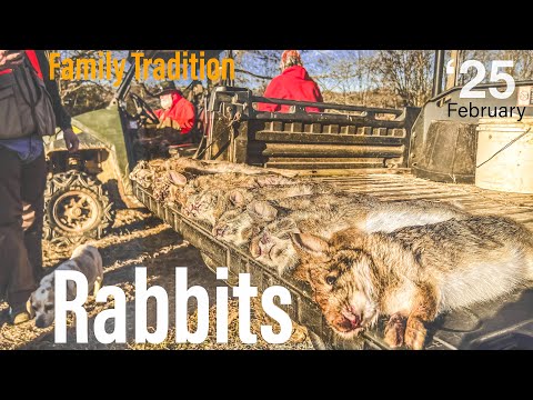 February Rabbit Hunting over Beagles 2025 | Family Tradition |