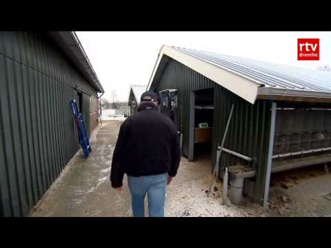 Nertsenfokker in Zuidwolde wil minstens 2 miljoen schadeloosstelling