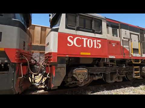 CF4433, SCT015 & CSR021 walk SCT.  Sat 28th Dec 2024