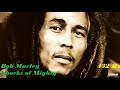 432 Hz Bob Marley Shocks of Mighty - Keep on Skanking 1967