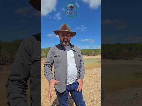 🌾 FAZENDA EM SANTA LUZIA – 560 HECTARES COM GRANDE POTENCIAL AGRÍCOLA 🌾