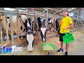 Leo Granja De Vacas