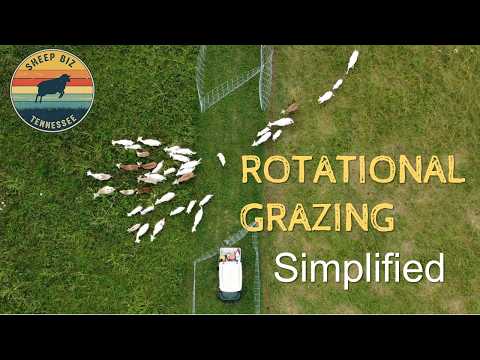 Can Rotational Grazing Make Farms More Profitable?
