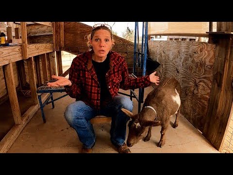 You Can't Make This STUFF Up!