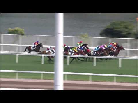 至尊高陞20/03/14……(494)第四塲四班1400米