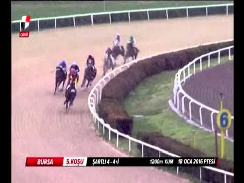 IMPERFECTIONIST (Sri Pekan-Turtle Creek by Sky Classic)