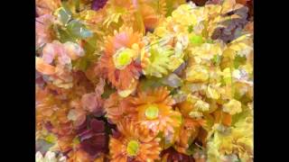 Ramon Ayala - Te Traigo Estas Flores