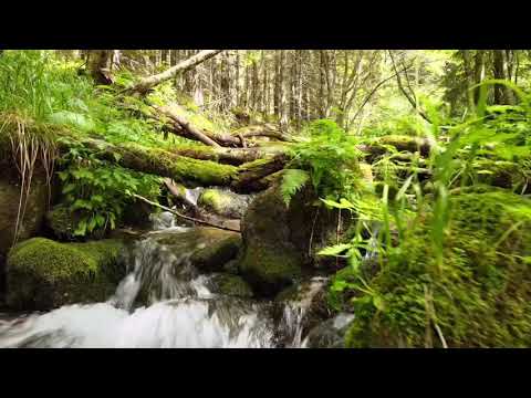 Alacsony-Tátra 2.nap 1080p