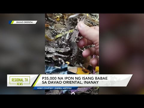 Regional TV News: P35,000 na ipon ng isang babae sa Davao Oriental, inanay