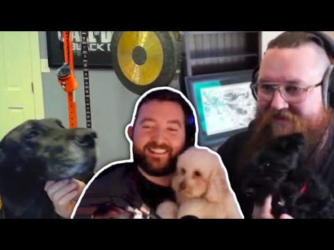 Everyone Shows Off Their Dogs | PKA