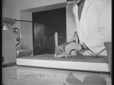 Chú chó thông mình =))