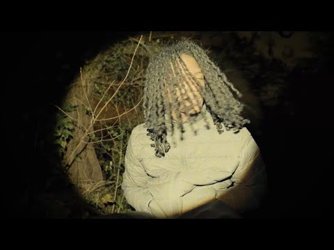 ay3demi - leaf (official music video) 