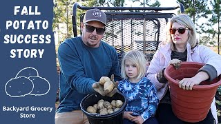 Can You Plant Potatoes in the Fall? | Our Success Story