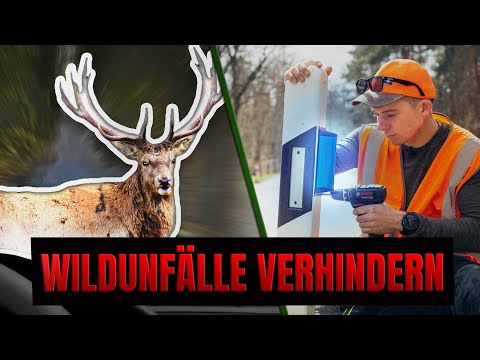 Preventing wildlife accidents - hunters in action | Niklas on fire