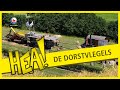 De Dorstvlegels | HEA!