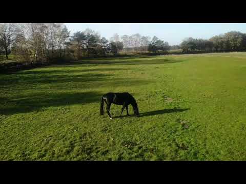 Hambühren Germany 4K