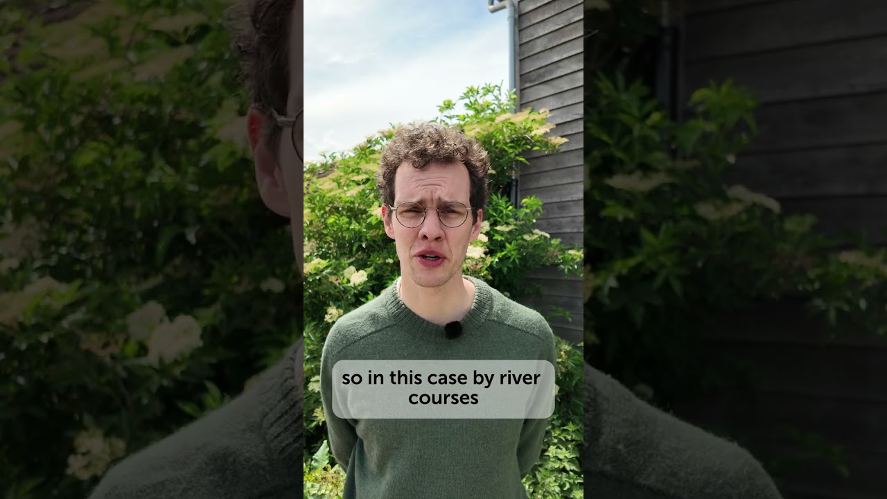 Why it is important to plant trees in the right place