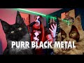 The Purr Meowhem PURR KVLT NAH BLACK METAL By Cikindeles