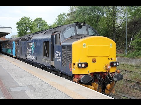 Class 37s on the Wherry Lines - May 2019