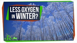 Is There Less Oxygen in the Winter Since It's Colder?