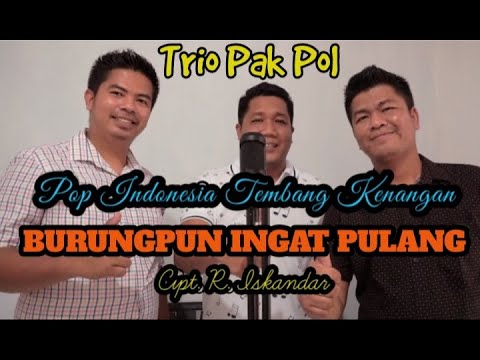 Burungpun Ingat Pulang (Trio Ambisi) | Cover Trio Pak Pol