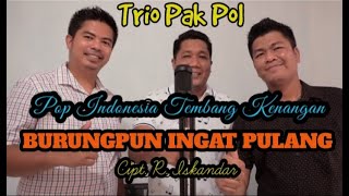 Download lagu Burungpun Ingat Pulang (Trio Ambisi) | Cover Trio Pak Pol mp3