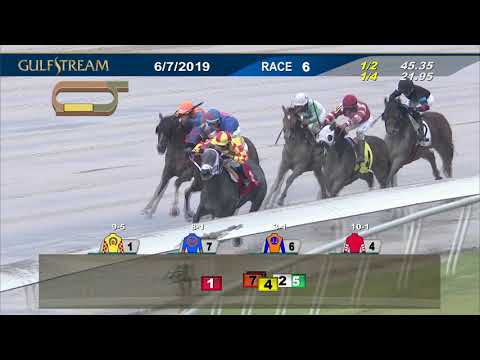 Gulfstream Park June 7, 2019 Race 6