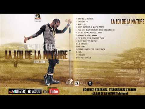 11 | Dynastie Le TIGRE - Ma Femme (Official audio)