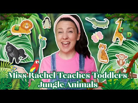 Learn to Talk & First Words | Miss Rachel Teaches Toddlers Jungle Animals