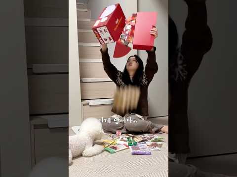 신박한 강아지용 어드벤트 캘린더? ㄷㄷ