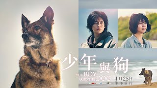 [普雷] 《少年與狗》狗狗為什麼流浪？